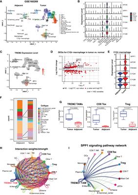 Identification of TREM2-positive tumor-associated macrophages in esophageal squamous cell carcinoma: implication for poor prognosis and immunotherapy modulation